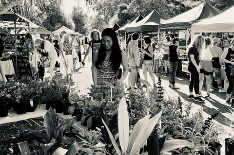 Yamba Farmers And Producers Market - VIC Tourism 0