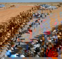 28th Marree Australasian CAMEL CUP 3 July 2021 - VIC Tourism