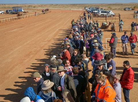 28th Marree Australasian CAMEL CUP 3 July 2021 - VIC Tourism 0