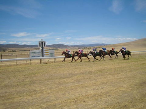 Adaminaby Cup Race Day - VIC Tourism 0