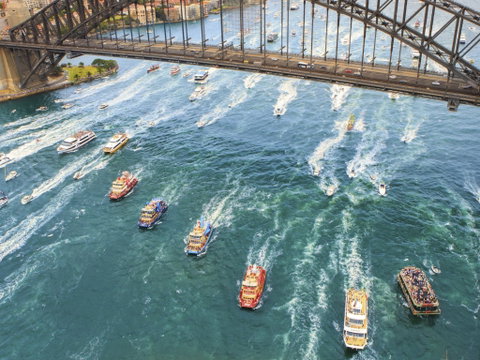 Australia Day Lunch Cruise - VIC Tourism 1