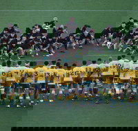 Bledisloe Cup Qantas Wallabies versus All Blacks - VIC Tourism