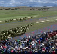 Cooma Sundowners Cup - VIC Tourism