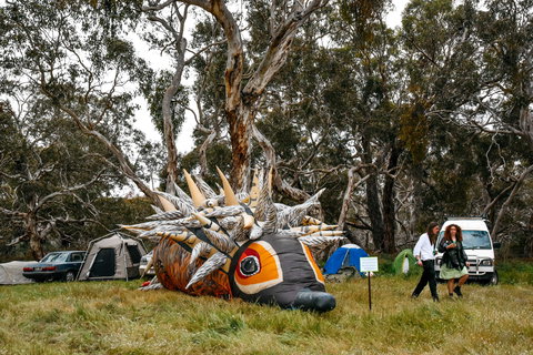 Field Good Festival - VIC Tourism 2
