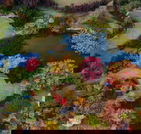 Glenrock Gardens Open Garden - VIC Tourism