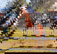 Glen Innes Pastoral and Agricultural Show - VIC Tourism