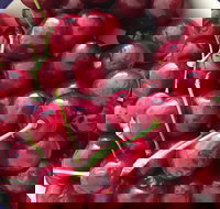 Griffith Rotary Market - VIC Tourism