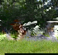 High Country Writers Festival - VIC Tourism