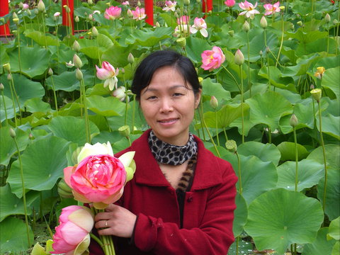 Lotus Flower Season - VIC Tourism 1