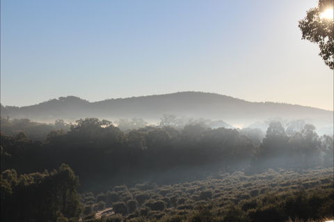Mudgeeque - VIC Tourism 0