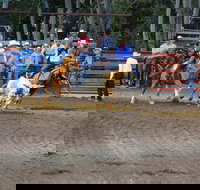 North Queensland Elite Rodeo - VIC Tourism