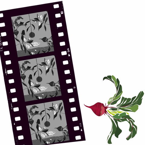 Oseanica Film Project - VIC Tourism 0