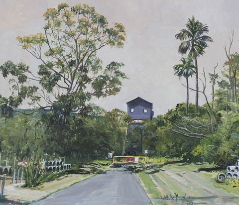 Pamela Griffith Wollongong Then And Now - VIC Tourism 0