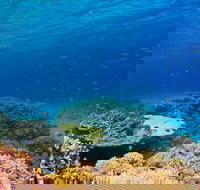 Recovery of the Great Barrier Reef - VIC Tourism