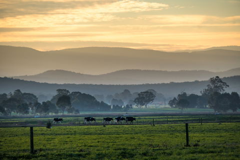 Rotary Club Of Maffra Community Market - VIC Tourism 0