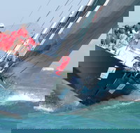 SeaLink Magnetic Island Race Week - VIC Tourism