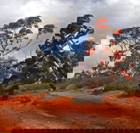 Sunraysia Safari Rally - VIC Tourism