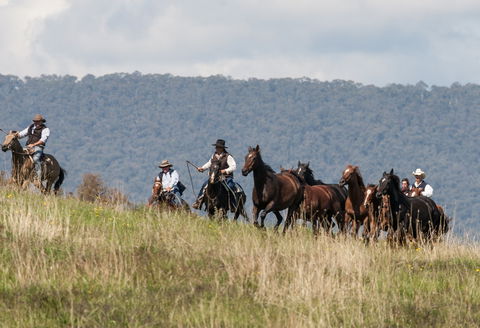 The Man From Snowy River Bush Festival - VIC Tourism 1