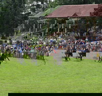 Tumut Boxing Day Races - VIC Tourism