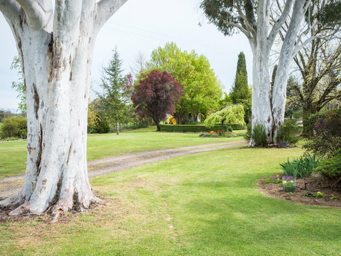 Tumbarumba Spring Flower Festival - VIC Tourism 2