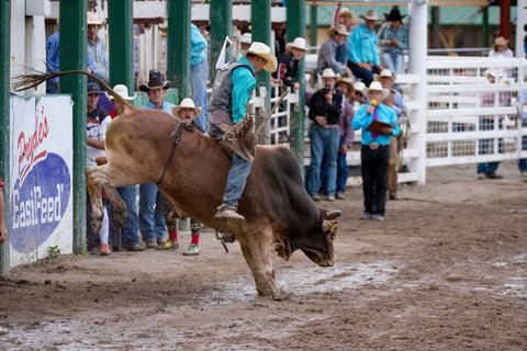 Warwick Rodeo National APRA National Finals And Warwick Gold Cup Campdraft - VIC Tourism 1