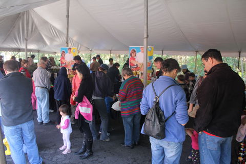 Wildflower Art And Garden Festival - VIC Tourism 0