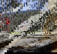 Wollombi Wild Ride Mountain Bike Ride - VIC Tourism