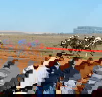 2020 Quorn Cup - VIC Tourism