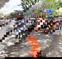 Australian National Busking Championships - VIC Tourism