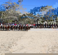 Australian Campdraft Association National Finals Campdraft 2021 - VIC Tourism