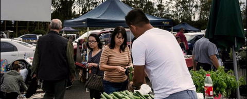 Blacktown Markets - VIC Tourism 0