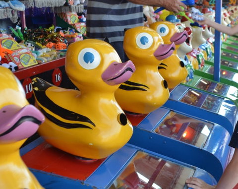 Casino Agricultural Show - VIC Tourism 0
