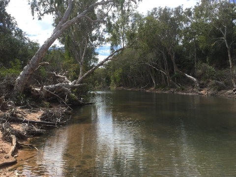Conservation Volunteers Australia Townsville - Creekwatch - VIC Tourism 2