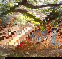 Cooktown and Cape York Expo 2021 - VIC Tourism