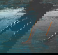 Flow