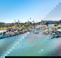 Fred Williams Aquatic Festival - VIC Tourism
