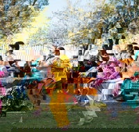 Griffith Spring Fest -  Multicultural Festival - VIC Tourism