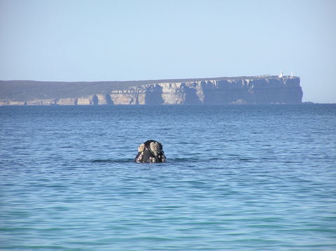 Jervis Bay's Sydney To Hobart Experience - VIC Tourism 0
