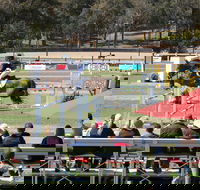 JumpingWillinga - VIC Tourism