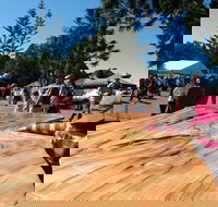 Maleny Wood Expo From Seed to Fine Furniture - VIC Tourism