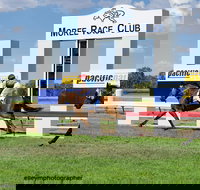 Moree Race Club TAB Race Day - VIC Tourism