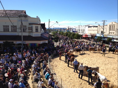 NCMC Casino Beef Week - VIC Tourism 0