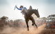 Rodeo By The Sea - Streaky Bay - thumb 0
