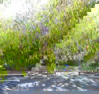 SunSmart FunMan Triathlon - VIC Tourism