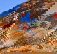 The Redback - VIC Tourism