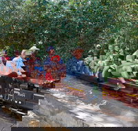 Twilight Run   Willans Hill Miniature Railway - VIC Tourism
