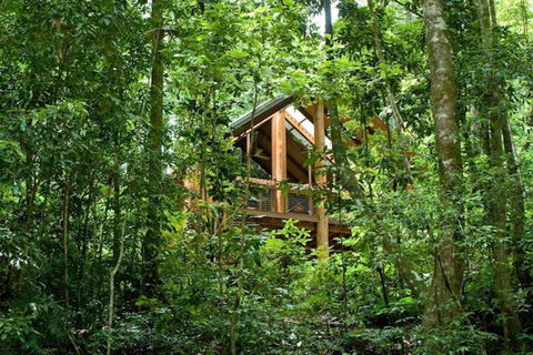 The Canopy Rainforest Treehouses And Wildlife Sanctuary - VIC Tourism 1