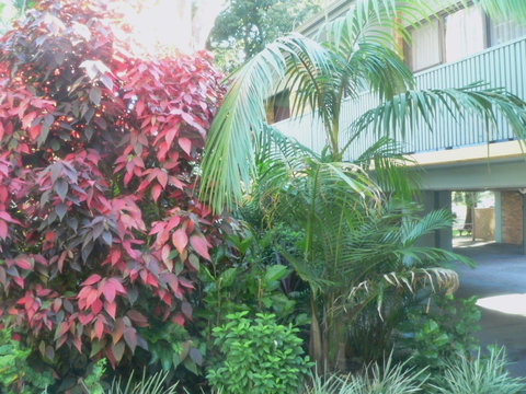 Port Stephens Motel - VIC Tourism 0