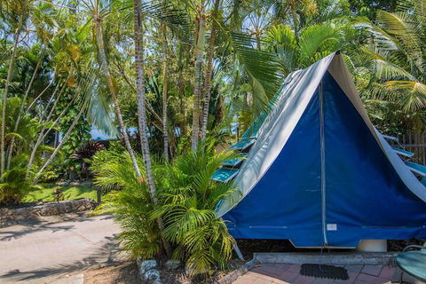 Tasman Holiday Parks - Airlie Beach - VIC Tourism 5