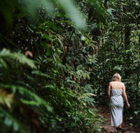 Daintree Ecolodge - VIC Tourism